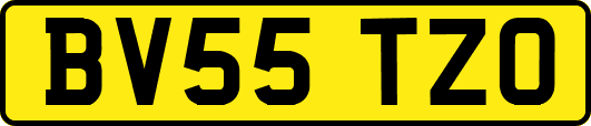 BV55TZO