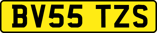 BV55TZS