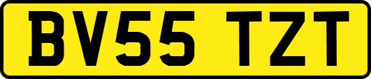 BV55TZT