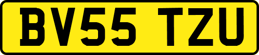 BV55TZU