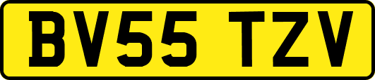 BV55TZV