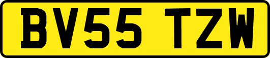 BV55TZW