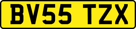 BV55TZX