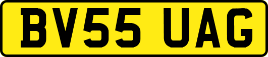 BV55UAG