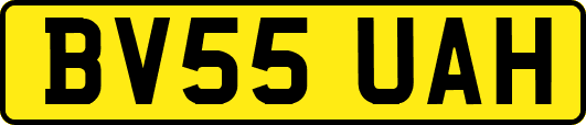 BV55UAH