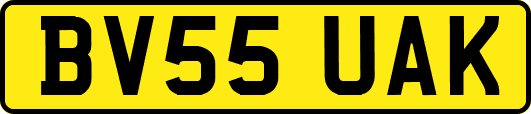 BV55UAK