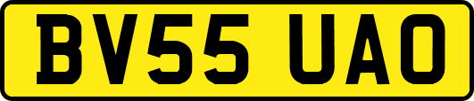 BV55UAO