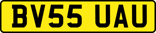 BV55UAU