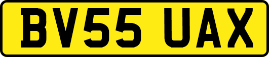 BV55UAX
