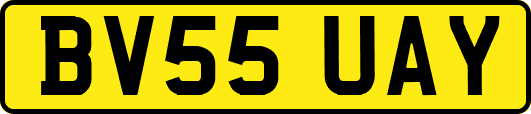 BV55UAY