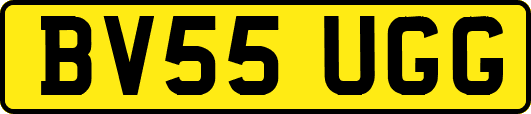 BV55UGG