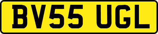 BV55UGL