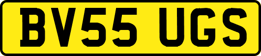 BV55UGS
