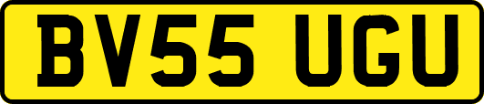 BV55UGU