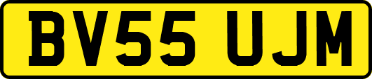 BV55UJM