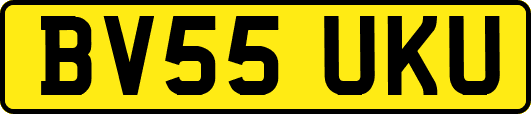 BV55UKU