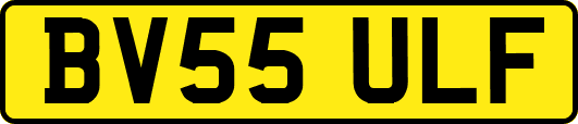 BV55ULF