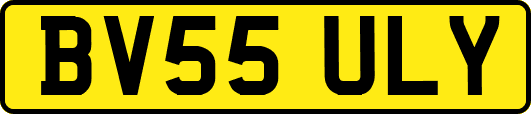 BV55ULY