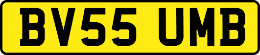 BV55UMB