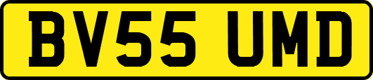 BV55UMD