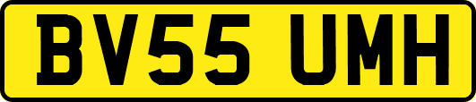 BV55UMH