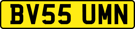 BV55UMN