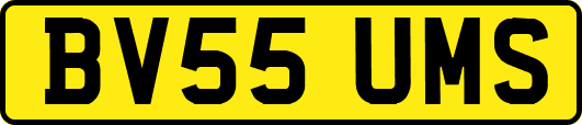 BV55UMS