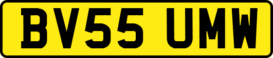 BV55UMW