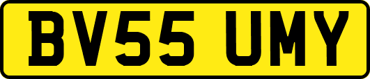 BV55UMY