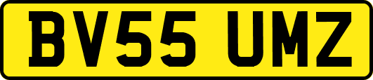 BV55UMZ
