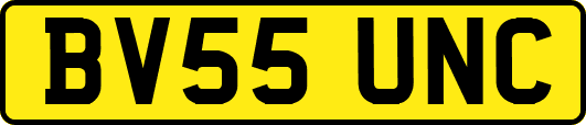 BV55UNC