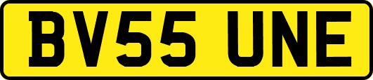 BV55UNE