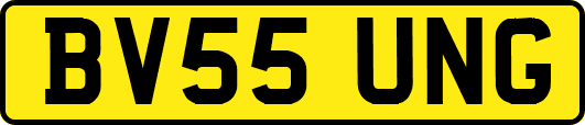 BV55UNG