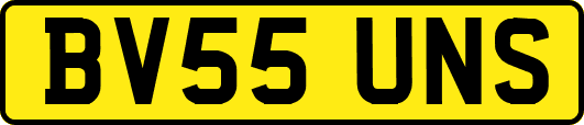 BV55UNS