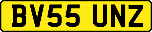 BV55UNZ