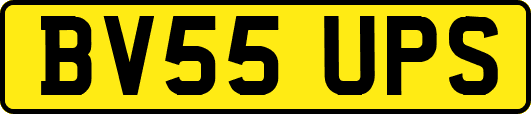 BV55UPS