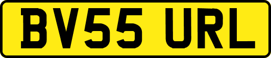 BV55URL