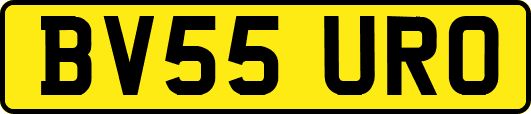 BV55URO