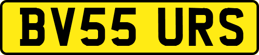 BV55URS