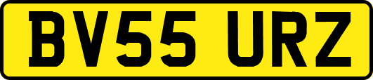 BV55URZ