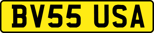 BV55USA