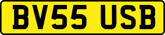 BV55USB