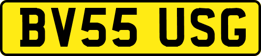 BV55USG