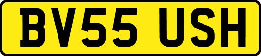 BV55USH