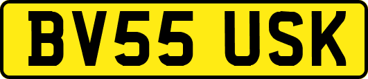 BV55USK