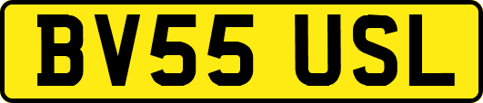 BV55USL