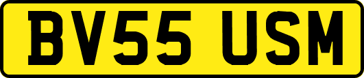 BV55USM