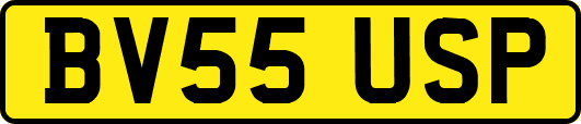 BV55USP