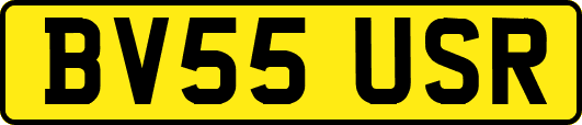 BV55USR