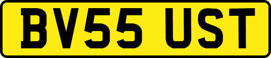 BV55UST